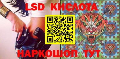 стаф Шебекино