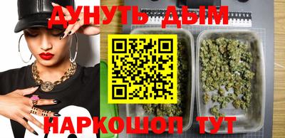 стаф Шебекино